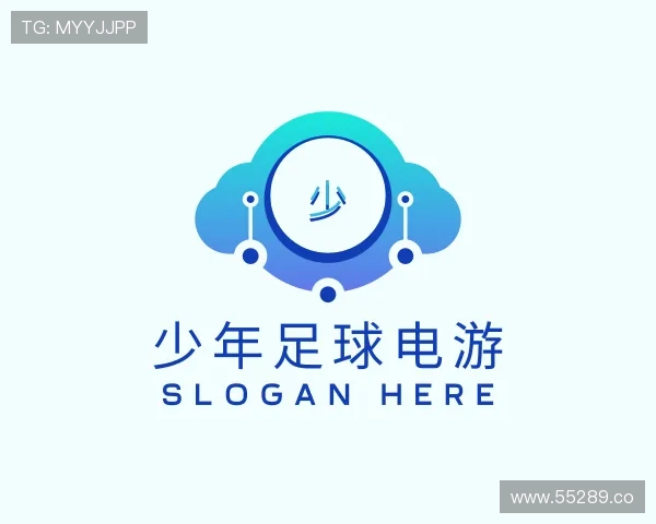 介绍少年足球电游